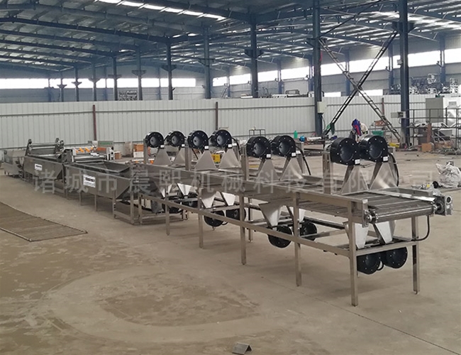 西紅柿番茄清洗機(jī)