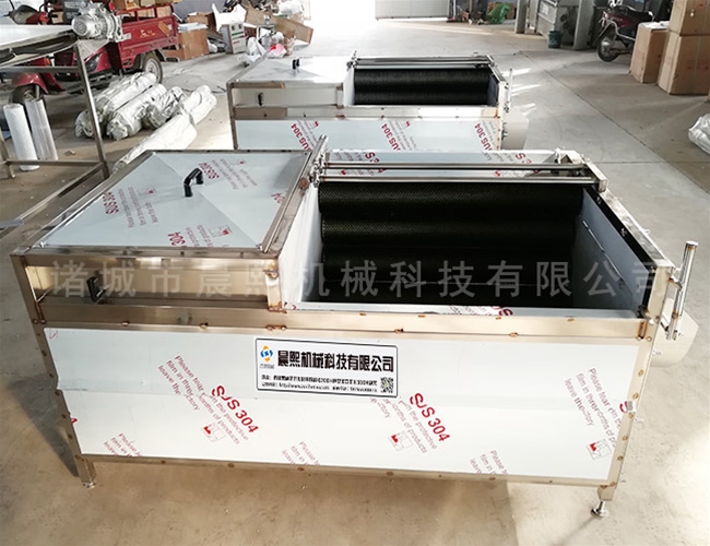 核桃脫皮清洗機(jī)