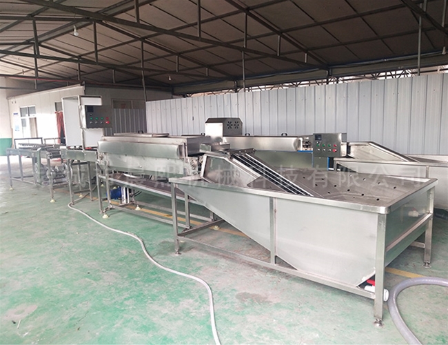 全自動(dòng)鴨蛋清洗機(jī) 糞便蛋洗蛋機(jī)每小時(shí)5000-1萬(wàn)枚